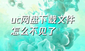 uc网盘下载文件怎么不见了