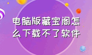 电脑版藏宝阁怎么下载不了软件