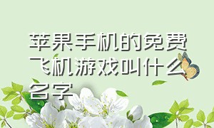 苹果手机的免费飞机游戏叫什么名字