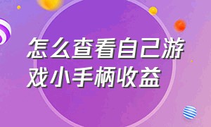 怎么查看自己游戏小手柄收益