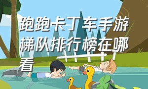 跑跑卡丁车手游梯队排行榜在哪看