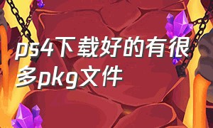 ps4下载好的有很多pkg文件