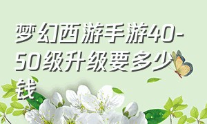 梦幻西游手游40-50级升级要多少钱