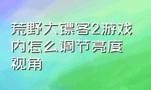 荒野大镖客2游戏内怎么调节亮度视角