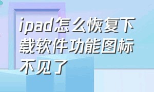 ipad怎么恢复下载软件功能图标不见了