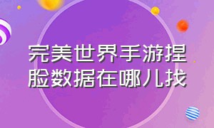 完美世界手游捏脸数据在哪儿找