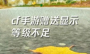 cf手游赠送显示等级不足