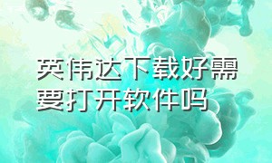 英伟达下载好需要打开软件吗