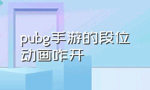 pubg手游的段位动画咋开