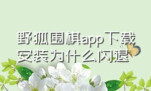 野狐围棋app下载安装为什么闪退