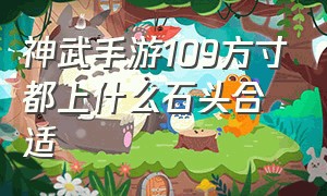 神武手游109方寸都上什么石头合适