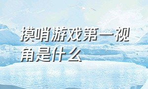 摸哨游戏第一视角是什么