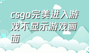 csgo完美进入游戏不显示游戏画面