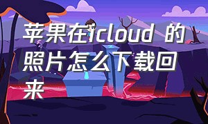 苹果在icloud 的照片怎么下载回来