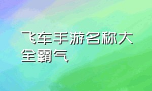 飞车手游名称大全霸气