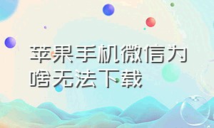 苹果手机微信为啥无法下载