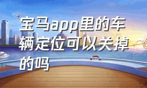 宝马app里的车辆定位可以关掉的吗