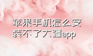 苹果手机怎么安装不了大疆app