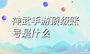 神武手游顶级账号是什么