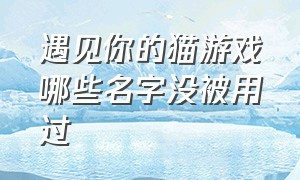 遇见你的猫游戏哪些名字没被用过