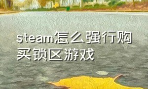 steam怎么强行购买锁区游戏