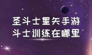 圣斗士星矢手游斗士训练在哪里