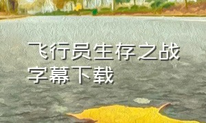 飞行员生存之战字幕下载