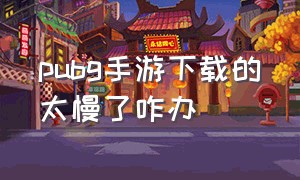 pubg手游下载的太慢了咋办