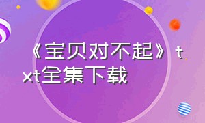 《宝贝对不起》txt全集下载