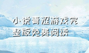 小说青涩游戏完整版免费阅读