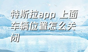 特斯拉app 上面车辆位置怎么关闭