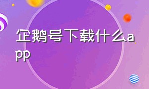 企鹅号下载什么app