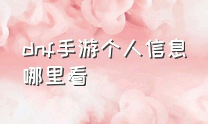 dnf手游个人信息哪里看