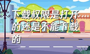 下载权限是打开的还是不能下载的