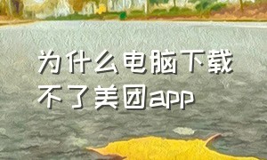 为什么电脑下载不了美团app