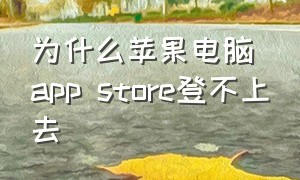 为什么苹果电脑app store登不上去