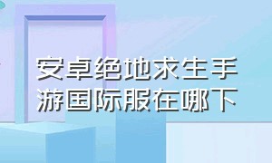 安卓绝地求生手游国际服在哪下