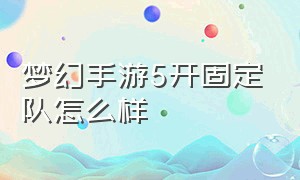 梦幻手游5开固定队怎么样