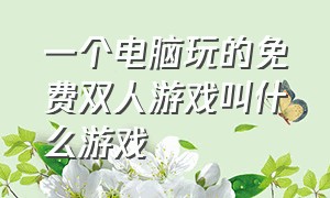 一个电脑玩的免费双人游戏叫什么游戏