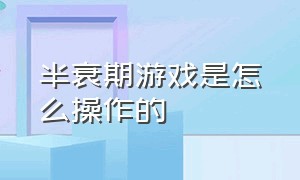 半衰期游戏是怎么操作的