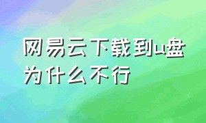 网易云下载到u盘为什么不行