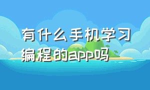 有什么手机学习编程的app吗