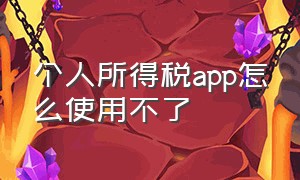 个人所得税app怎么使用不了