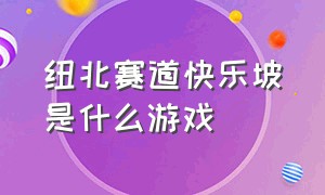 纽北赛道快乐坡是什么游戏