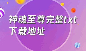 神魂至尊完整txt下载地址