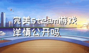 完美steam游戏详情公开吗