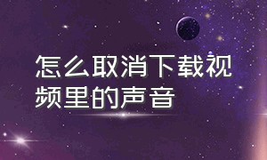 怎么取消下载视频里的声音