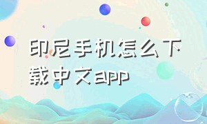 印尼手机怎么下载中文app