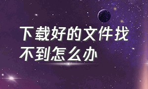 下载好的文件找不到怎么办