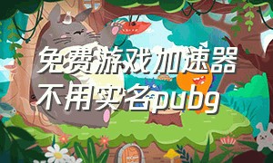 免费游戏加速器不用实名pubg